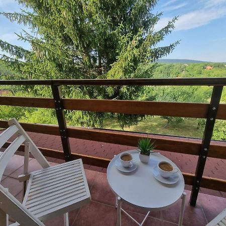 Hoopovo House Fruska Gora Villa Irig Екстериор снимка