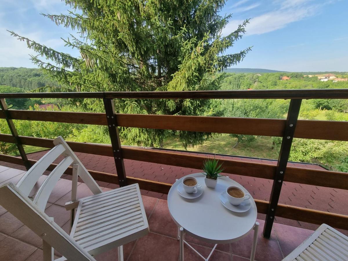 Hoopovo House Fruska Gora Villa Irig Екстериор снимка