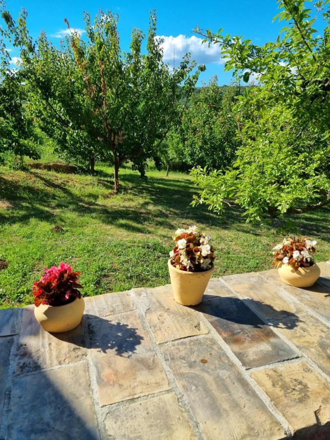 Hoopovo House Fruska Gora Villa Irig Екстериор снимка