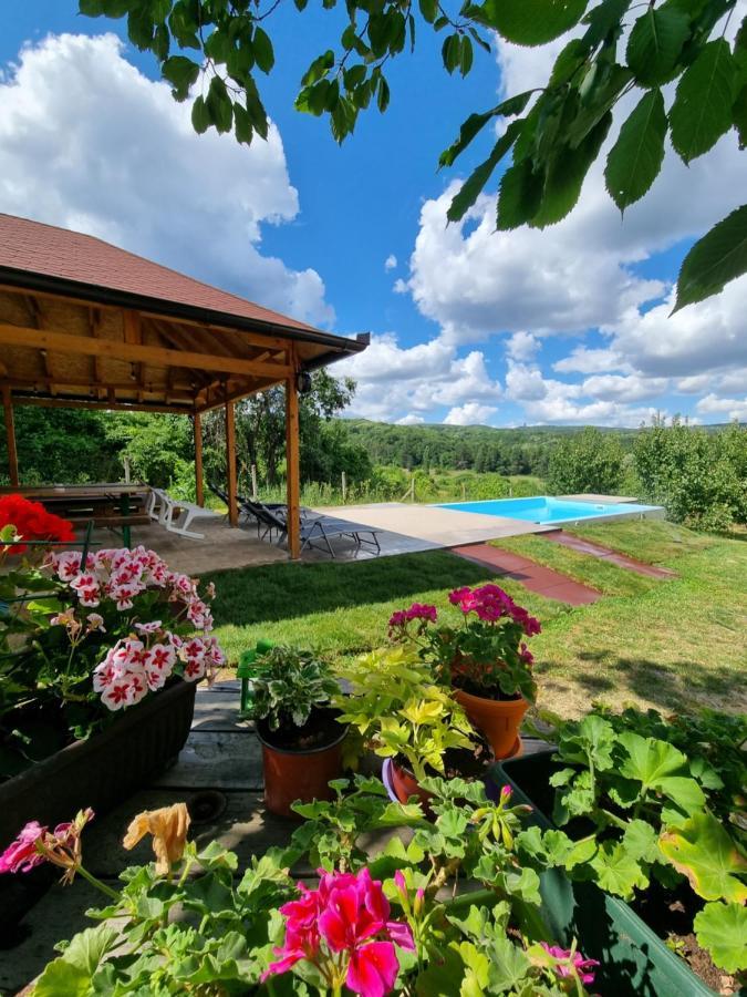 Hoopovo House Fruska Gora Villa Irig Екстериор снимка